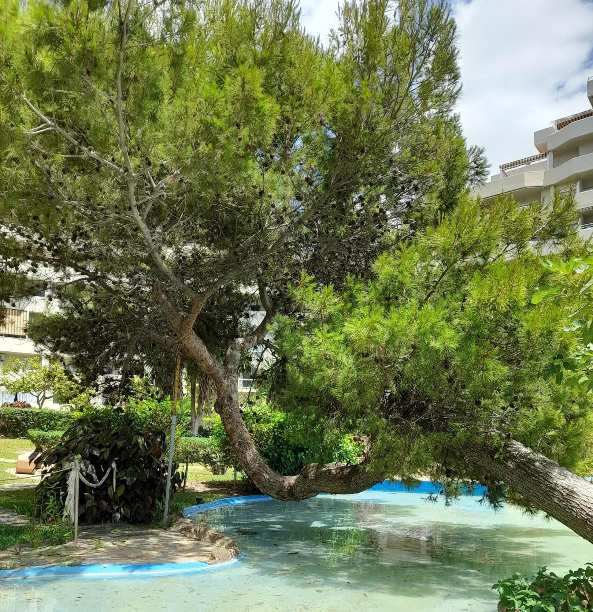 Benalbeach R&R Suite Benalmadena Ngoại thất bức ảnh